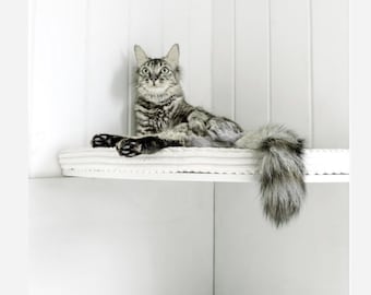 Set of 3 Beech Plywood Cat Corner Shelves, Floating Wall Perch with Cushion
