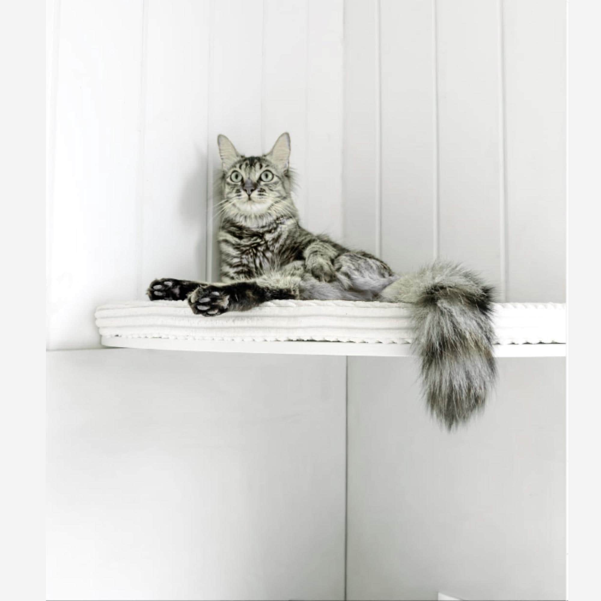 CosyAndDozy - Etsy