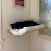 see more listings in the Waved Cat Shelves section