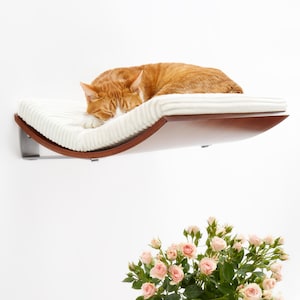 Könnte beinhalten: Ein weißes, gebogenes Katzenbett mit einer braunen Holzbasis ist an einer weißen Wand montiert. Eine rotbraune Katze schläft auf dem Bett.