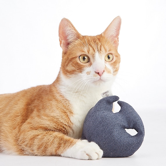 Jouets pour chats, cadeaux de Noël pour chat, poisson-chat fait main,  rempli d'herbe à