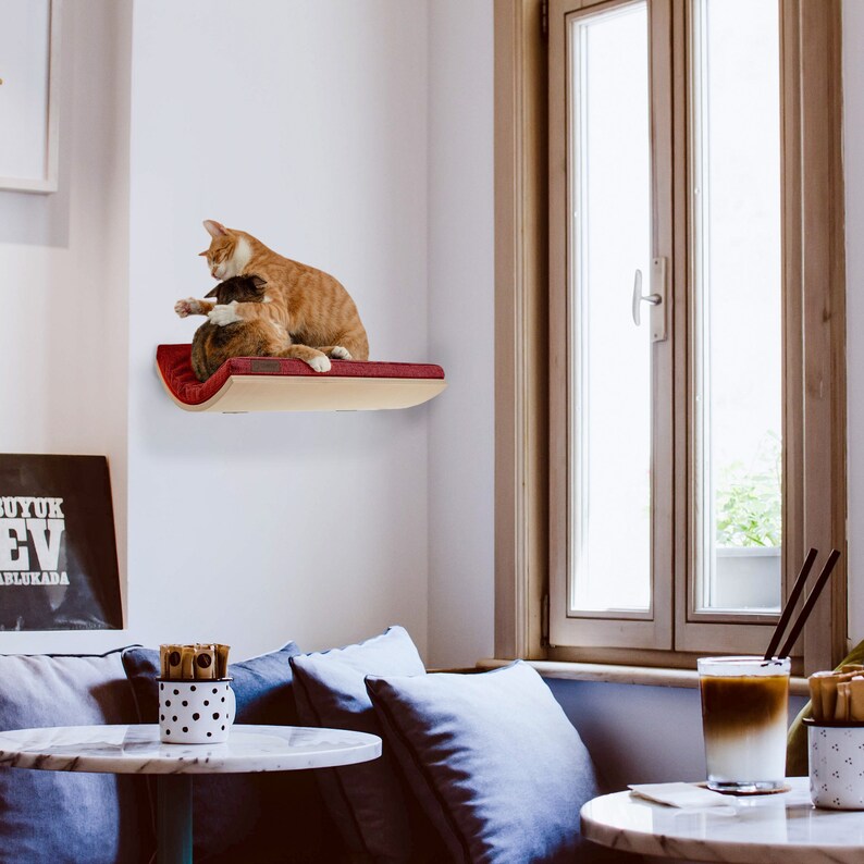 Wall Mounted Designer Curved Cat Shelf Minimalistic Wooden Etsy