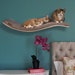 see more listings in the Waved Cat Shelves section