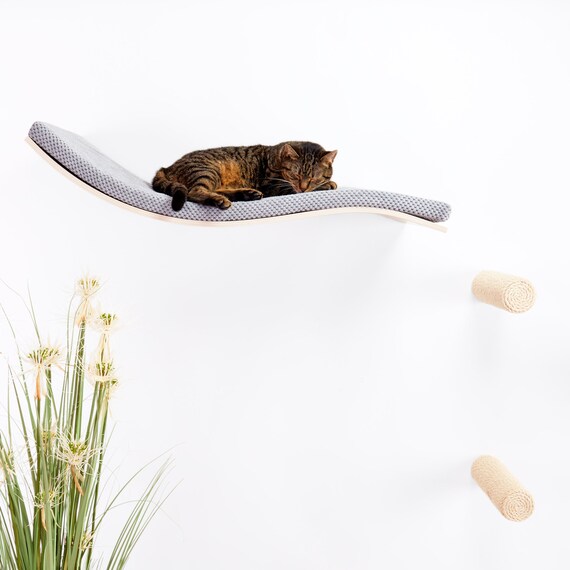 Cat highway clearance shelves