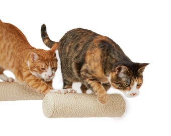 Sisal post * Climbing step * Scratching post * Floating step * Bracket-less post * Sisal scratcher * Cat furniture * Cat playground *Cat toy