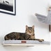 NEW!!! Classically designed wooden round wall mounted cat shelf. Removable and washable cushion included. 
