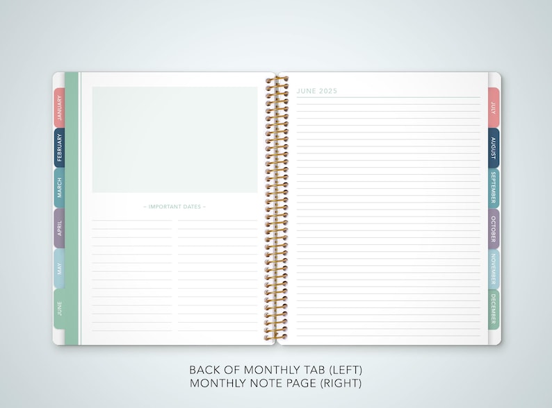 May include: A monthly planner with a tabbed divider for each month. The left page has a blank space for important dates and lined space for notes. The right page is a lined note page for June 2029.