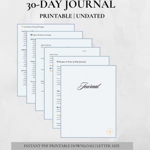 Career Change Journal | 30-Day Career Transition Planner | Job Search Guide | Professional Development | Career Planning Workbook PDF