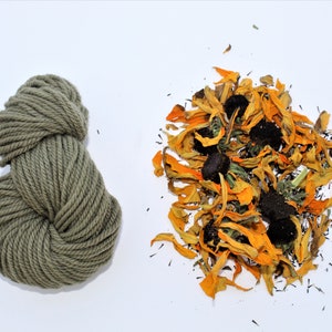 Natural Dye Sample Kit - Rudbeckia