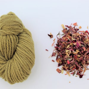 Natural Dye Sample Kit - Zinnia