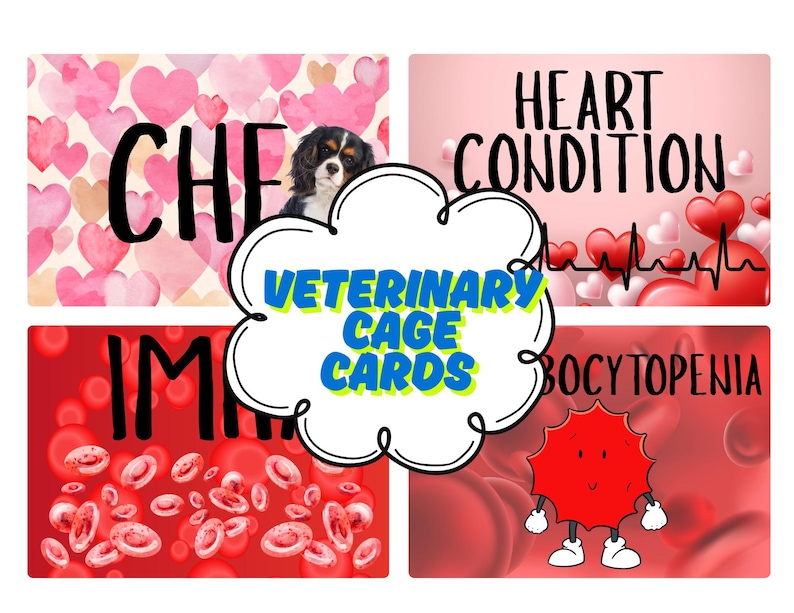 Digital Printable VETERINARY CAGE CARDS Printable – Digital Download ...