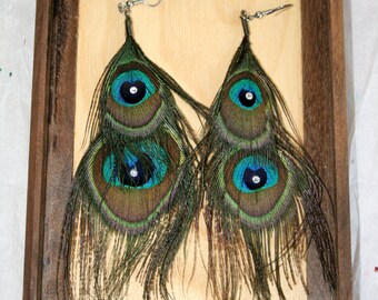 Peacock Feather earrings- light weight natural feather earrings with crystal accents
