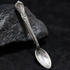 May include: A silver teaspoon with an ornate handle and a rounded bowl. The spoon is resting on a dark gray rock.