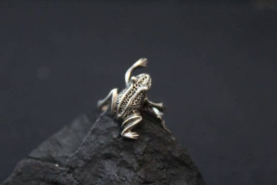 grey frog jewelry