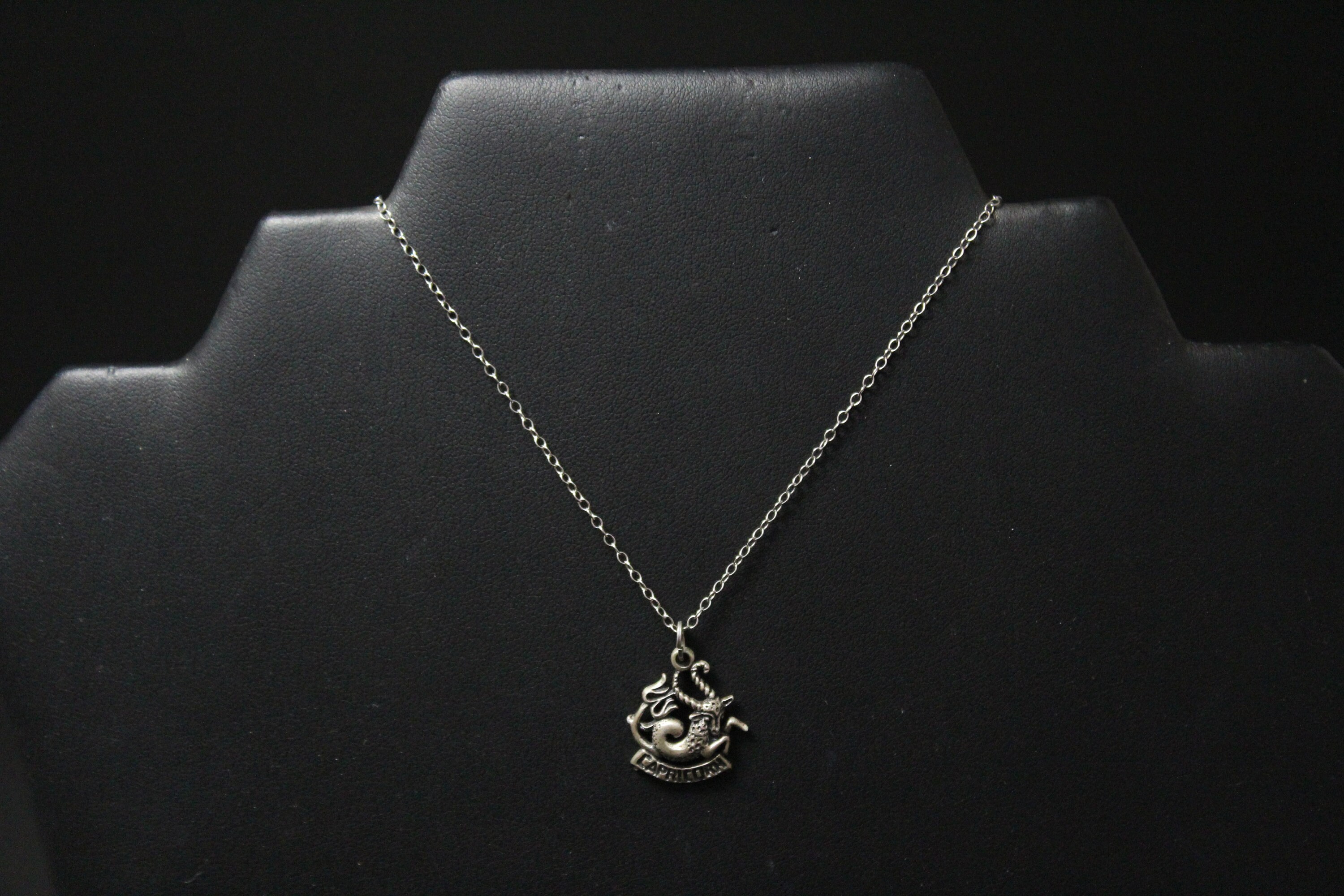 Capricorn necklace silver Clearance