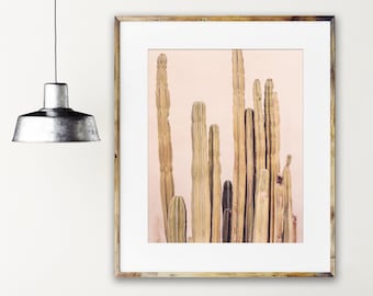 Blush Cactus Print, Palm Springs Photography, Desert Decor, Pink Wall Art, Southwest Wall Decor, Cactus Wall Art, Vertical Wall Art Print