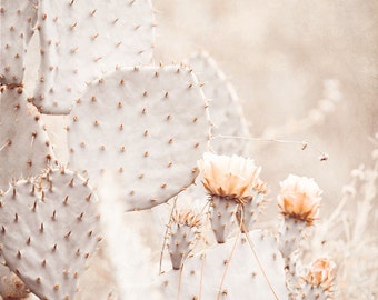 Cactus Photography, Brown Wall Art, Nature Photography, Taupe Wall Decor, Peach Art, Desert Art Print, Southwestern Decor, Cactus Garden