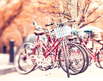 Bicycle Photography, Baby Boy, Nursery Decor, Central Park Autumn, Foliage, Gold New York, Square Wall Art, Red Radio Flyer Bike Print