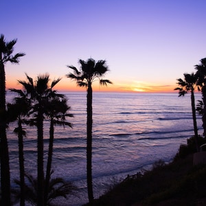 San Diego Beach Photography, Swami&#39;s Beach, San Diego Landscape Photography, Beach Landscape, Beach Sunset, Encinitas Photo, Palm Trees