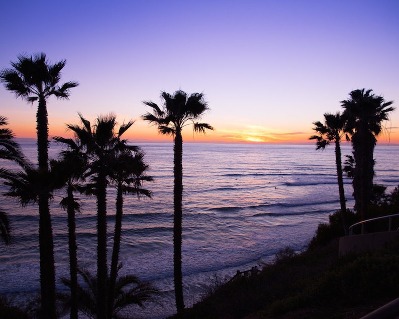 San Diego Beach Photography, Swami's Beach, San Diego Landscape Photography, Beach Landscape, Beach Sunset, Encinitas Photo, Palm Trees image 1