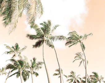 Tropical Wall Art, Hawaiian Print, Peach Wall Decor, Large Beach Wall Art, Palm Trees, Island Photography, Beach House, Beach Cottage Decor