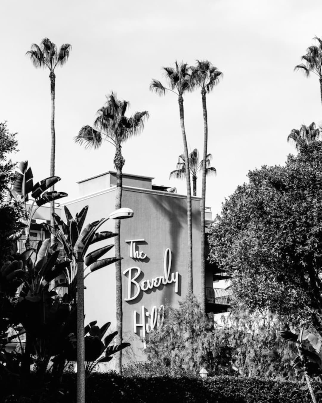 Beverly Hills Photography, Black and White Los Angeles Print, Los