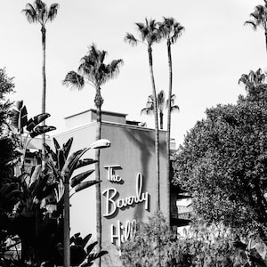 Beverly Hills Photography, Black and White Los Angeles Print, Los Angeles Print, Palm Trees, Beverly Hills Hotel, Black and White Wall Art