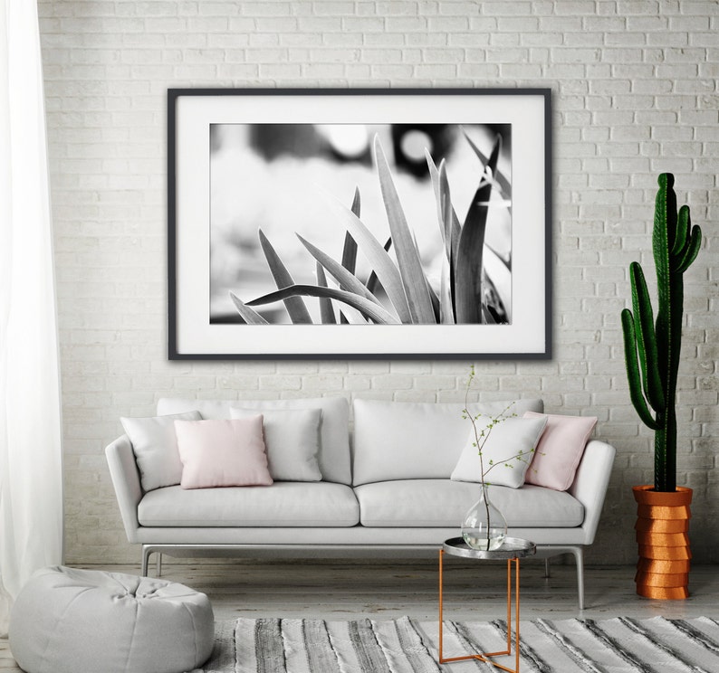 Large Black and White Wall Art, Black and White Nature Photography, Botanical Print, B&W Art, Plant Leaves, Gray Wall Decor Gentle image 5