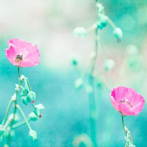 Flower Photography, Aqua Art, Pink Flower, Floral Wall Art, Spring, Teal Wall Decor, Bathroom Wall Decor, 8x10 Photograph, Nature Wall Photo