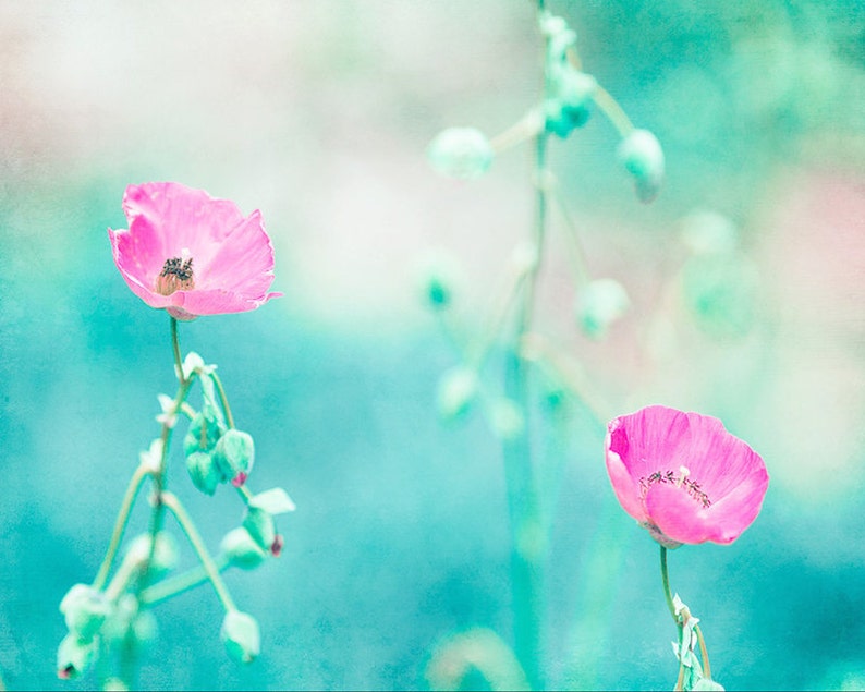 May include: Two pink flowers with green stems and buds against a light blue and green background.