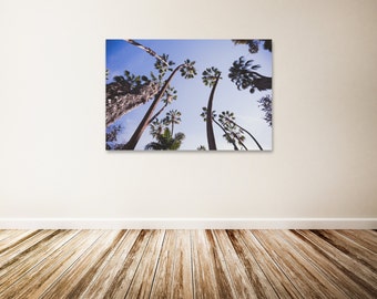 San Diego Canvas Art, Palm Trees, Periwinkle Wall Decor, San Diego Photography, Large Palm Tree Wall Decor - "Skyward"