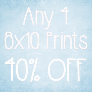 8x10 Prints - Choose any 4 ColorPopPhotoShop Fine Art Photographs