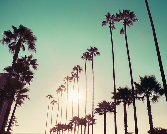 California Photography, Palm Trees, Mint Green, Urban Decor, Palm Art, Summer, Retro, California Art, Palm Tree Print, Aqua, Green