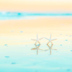May include: Two white starfish on a light blue and yellow beach with a blurred background.