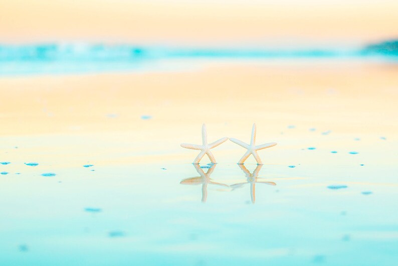May include: Two white starfish on a light blue and yellow beach with a blurred background.