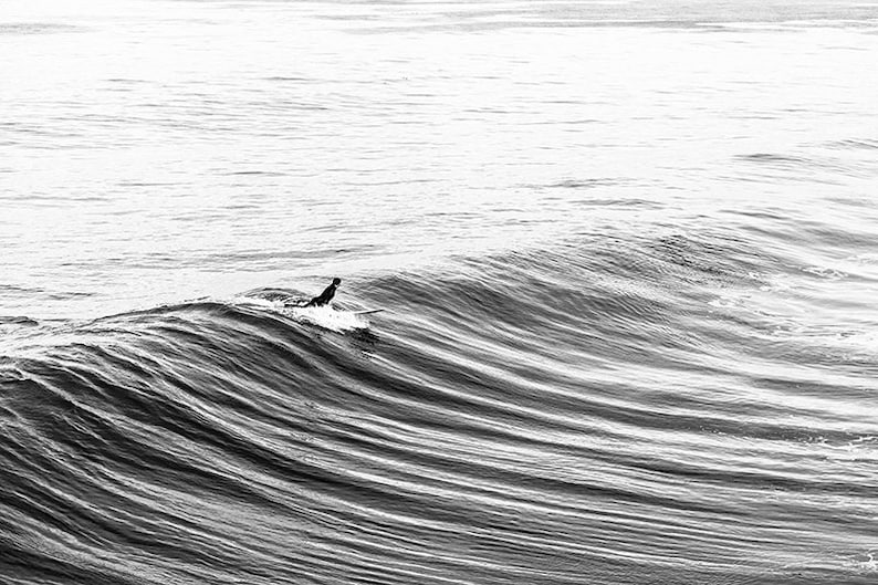 Surf Photography, Brother Gift, Large Art, College Student Gift, Surf Decor, Husband Gift, Surfboard, Black and White Photography, Teen Gift image 2