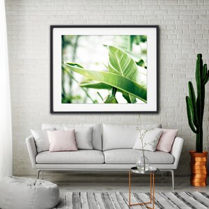 Bright Art, Green Leaves, Tropical Print, Banana Leaves, Large Botanical Photograph, White Wall Art, Clean Bathroom Decor, Nature Photo image 4