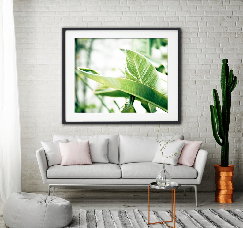 Bright Art, Green Leaves, Tropical Print, Banana Leaves, Large Botanical Photograph, White Wall Art, Clean Bathroom Decor, Nature Photo image 4