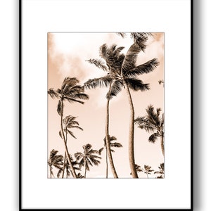 May include: A sepia toned photograph of palm trees swaying in the wind against a cloudy sky.