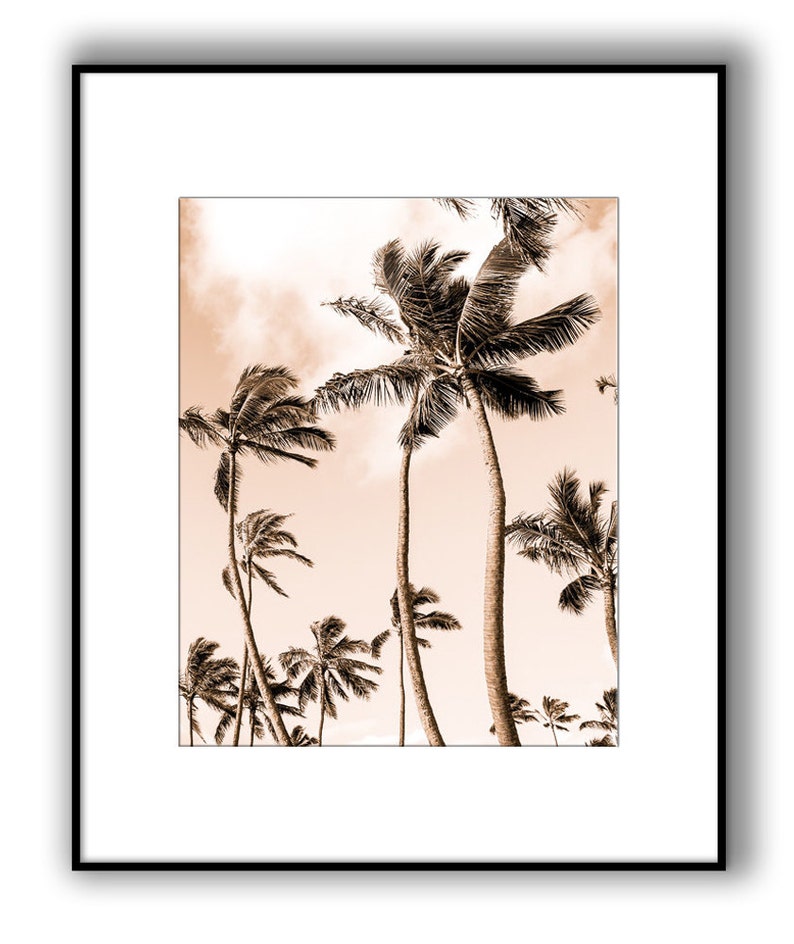 May include: A sepia toned photograph of palm trees swaying in the wind against a cloudy sky.