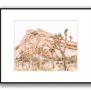May include: A photograph of a rocky desert landscape with Joshua trees in the foreground. The sky is a pale blue and the rocks are a warm brown color.
