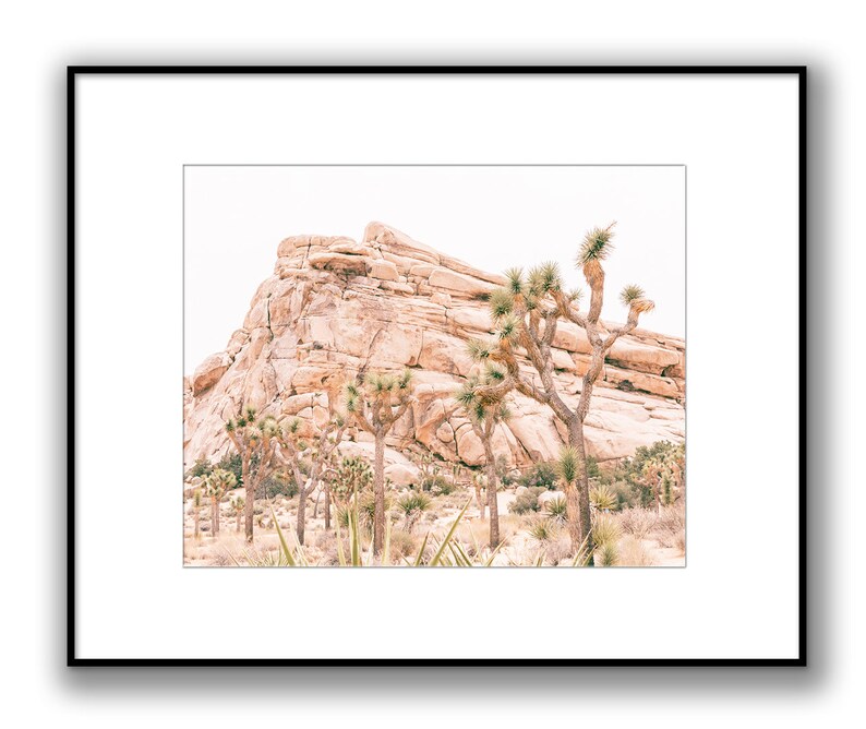 May include: A photograph of a rocky desert landscape with Joshua trees in the foreground. The sky is a pale blue and the rocks are a warm brown color.