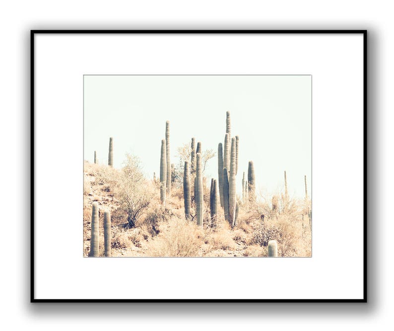 Pu&ograve; includere: Stampa incorniciata con un paesaggio desertico in tonalit&agrave; seppia. L'immagine mostra un gruppo di alti cactus saguaro e vegetazione desertica contro un cielo chiaro. L'opera d'arte &egrave; presentata in una cornice nera con un passe-partout bianco.