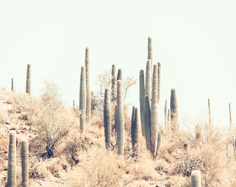 Cactus Photography, Modern Cactus Print, Desert Landscape, Rustic, Saguaro Cactus, Palm Springs Art, Pastel Wall Decor, Mint Green Wall Art