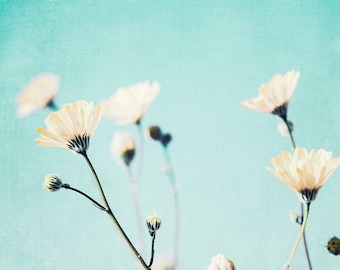 Bright Aqua Wall Decor, Colorful Wall Art, Spring Flowers Photo, Yellow Wildflowers, Aqua Wall Art, Sky Blue Decor, Large Aqua Wall Art