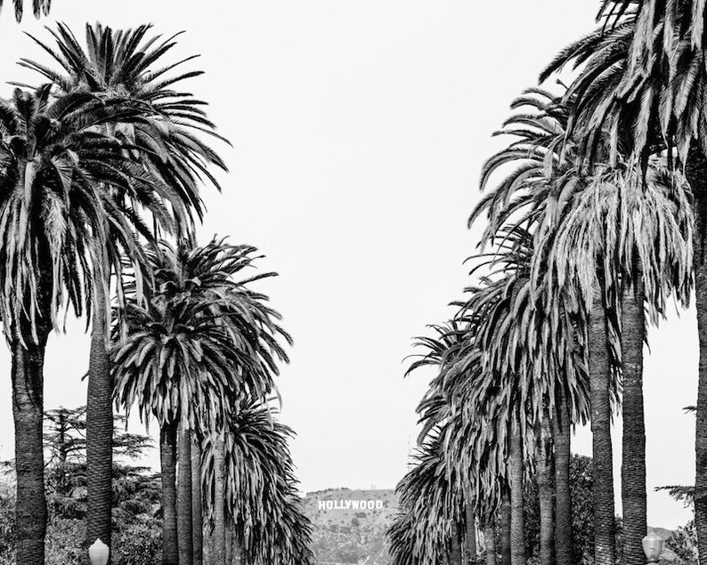 Print Set of 4, Los Angeles Prints, Black and White Print Set, Los Angeles Photography, Venice Beach, Santa Monica, Hollywood Sign image 3