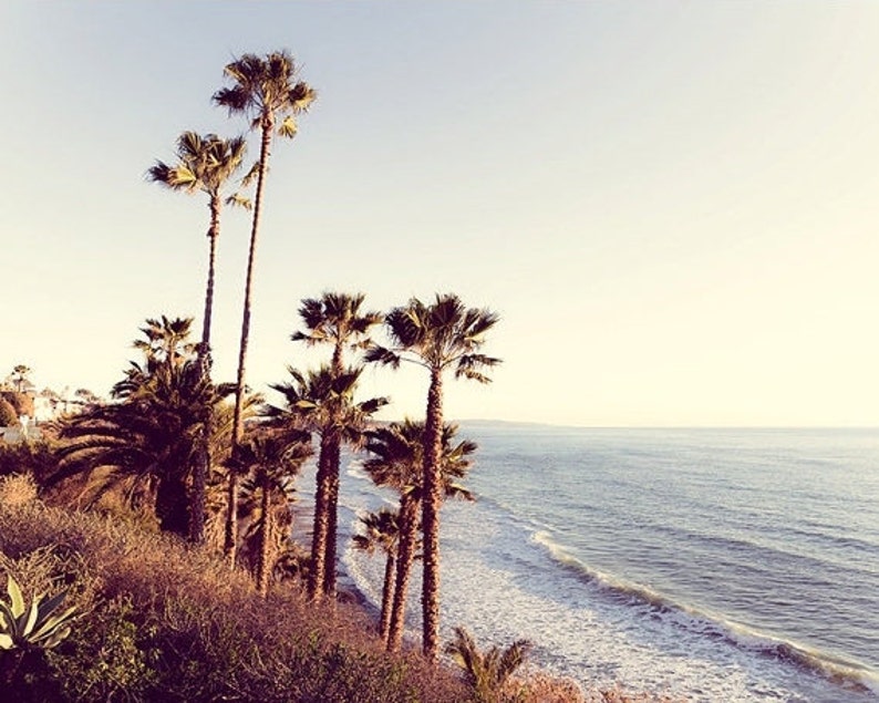 May include: A scenic view of a beach with palm trees in the foreground and the ocean in the background. The sky is a light blue and the water is a deep blue. The palm trees are silhouetted against the sky.
