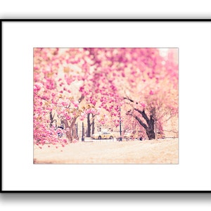 Central Park Photography, New York City Photography, New York in Spring, Central Park Blooms, Cherry Blossoms, New York Taxis, Pink Decor image 2