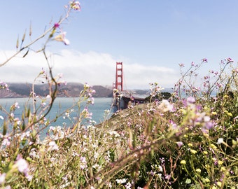 Large San Francisco Wall Art, Golden Gate Bridge Photography, Flower Photo, Large California Print, Wildflowers, Ocean, San Francisco Decor