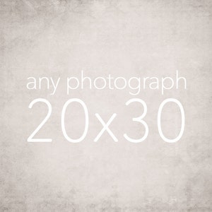 20x30 Photography Print, Extra Large Wall Art